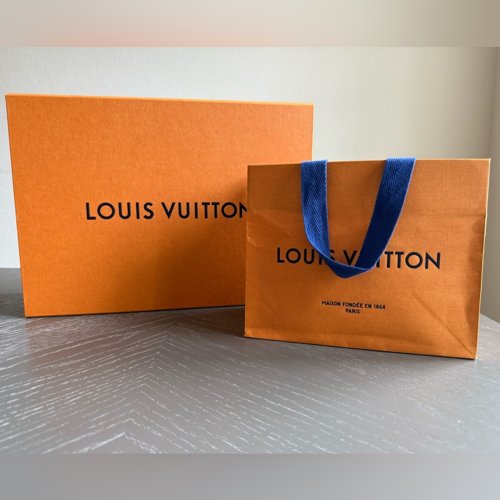 Louis Vuitton Medium Box and Small Bag